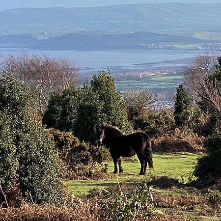 Exmoor Retreat On Two Moors Way Withypool Extérieur photo