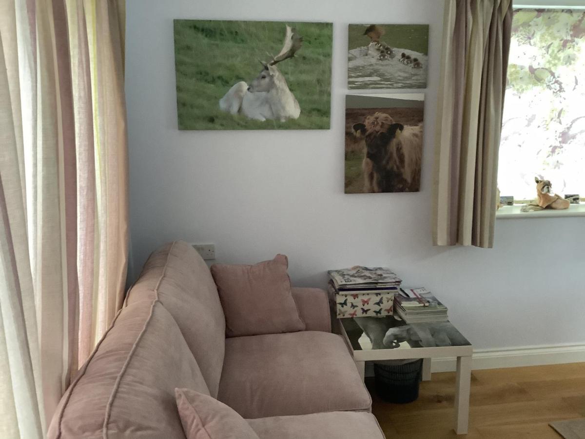 Exmoor Retreat On Two Moors Way Withypool Extérieur photo