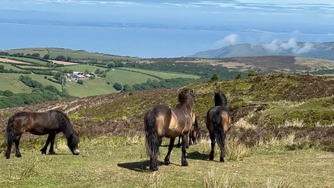Exmoor Retreat On Two Moors Way Withypool Extérieur photo