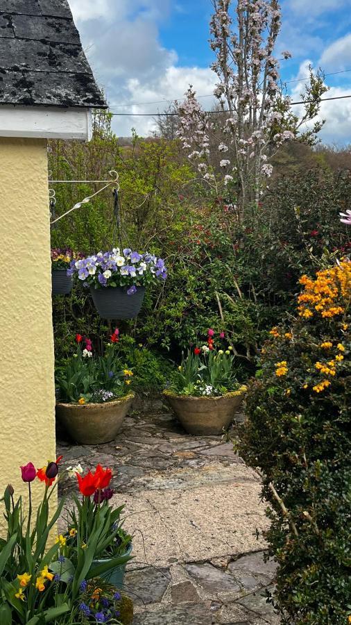 Exmoor Retreat On Two Moors Way Withypool Extérieur photo