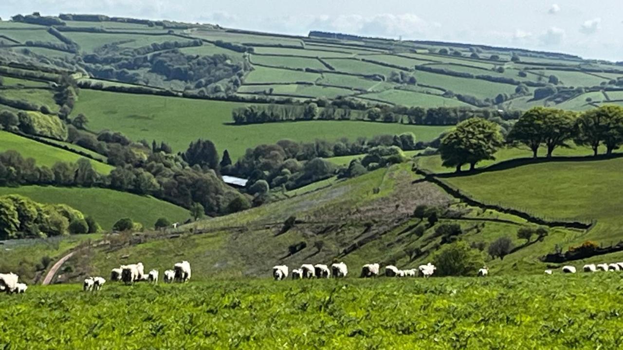 Exmoor Retreat On Two Moors Way Withypool Extérieur photo