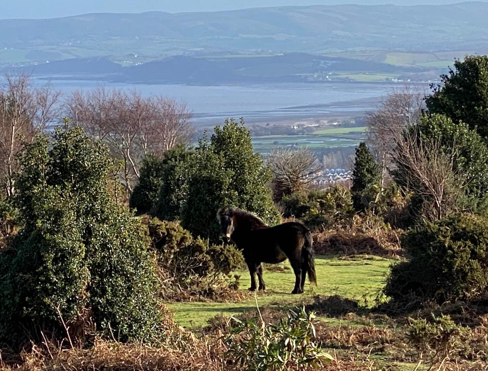Exmoor Retreat On Two Moors Way Withypool Extérieur photo