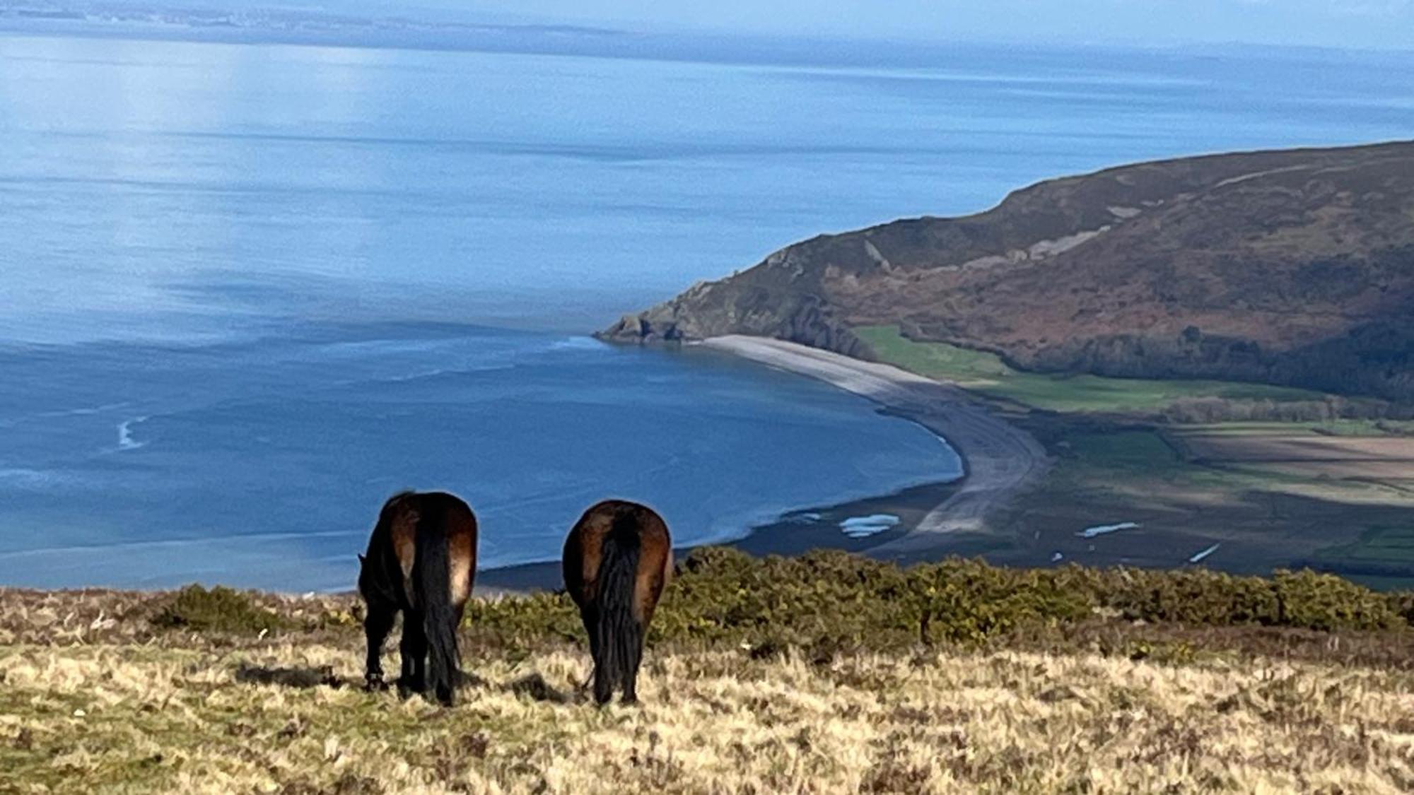Exmoor Retreat On Two Moors Way Withypool Extérieur photo